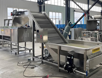 成都餐飲91香蕉视频IOS下载設備公司推薦全自動全品類果蔬清洗加工線